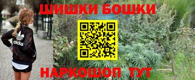 молекула духа Северобайкальск
