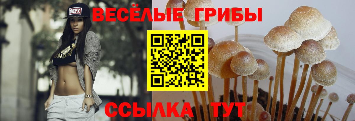 Галлюциногенные грибы Magic Shrooms Сальск
